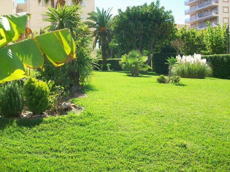 Con Vistas Al Mediterraneo Playa de Gandia Exteriör bild